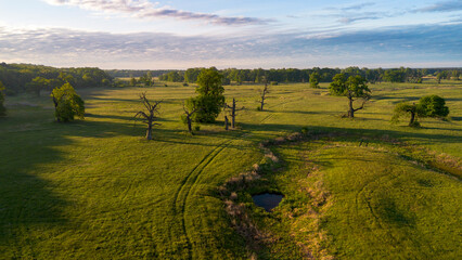 Fototapeta premium Aerial view of the Rogalin Landscape Park, Poland.