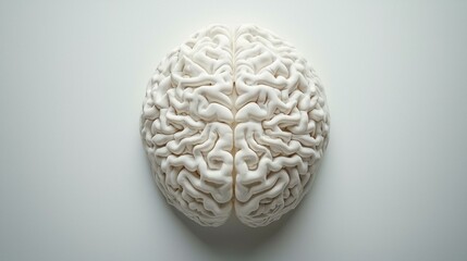 Artificial Brain Model on White Background.