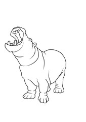 vector illustration of a rhinoceros