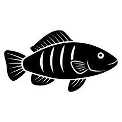 fish on a white background