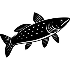 vector illustration of a fish
