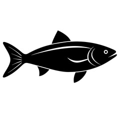 fish vector illustration