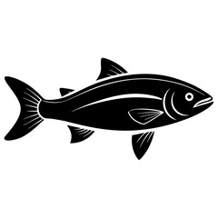 fish vector illustration