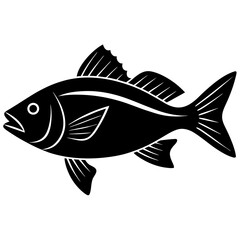 fish on a white background
