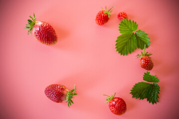 Still life with strawberries and a pink background