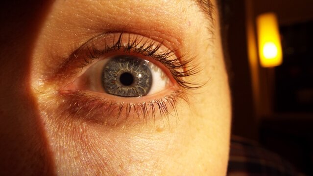 eye - Powered by Adobe