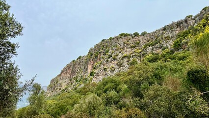 Rocky slope covered with green shrubs and trees under a blue sky in Turkey. Natural landscape, ecotourism, hiking, wildlife, solitude, untouched nature, Mediterranean scenery, Lycian Way. 