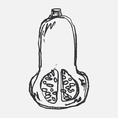 Doodle elements of fruit and vegetable, specifically a Pumpkin