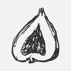 Doodle elements of fruit and vegetable, specifically a fig