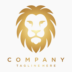 Lion Logo Designs