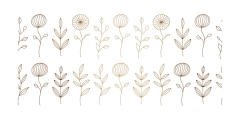 Obraz premium Elegant gold line art floral border pattern