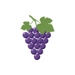 Purple Grapes Illustration with Green Leaves on White Background.