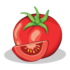 Tomato vector illustration for graphic design