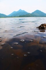 The calm, clear surface of a lake reveals submerged rocks and small bubbles, with distant mountains softly blurred in the background.