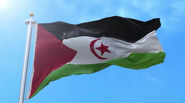 Western Sahara Realistic Waving Flag Animation Loop