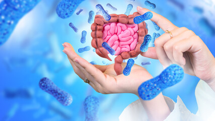 Intestine in hands. Microbiome of digestive system. Probiotic treatment. Probiotic cells for...