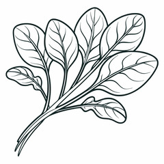 hand drawn vector illustration of a lily