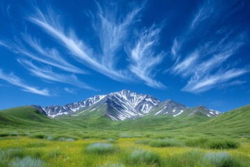 Denali National Park and Preserve in Alaska covers a vast 6 million acres of interior wilderness, including mountains, particularly during the early summer months