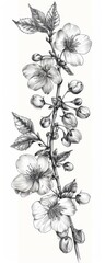 Intricate Black and White Floral Arrangement Delicate Blossoms and Buds Line Art Style Illustration