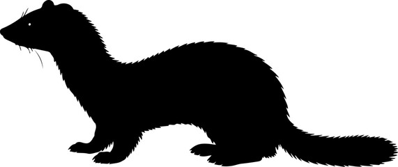 Weasel vector silhouette on white background