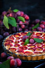 Fresh homemade plum tart or cake on dark background