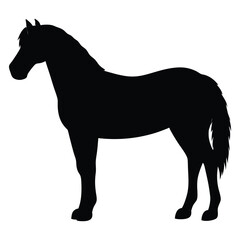 Obraz premium Elegant Horse Vector – Silhouette Design