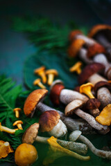 Fresh uncooked wild mushrooms on rustic green background, top view