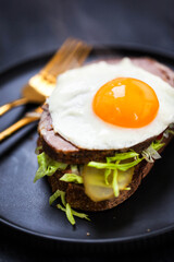 Gourmet sandwich with roasted pork (ham), pickled cucumber, lettuce, sauce, artisan bread and fried egg