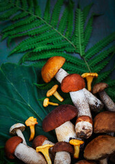 Fresh uncooked wild mushrooms on rustic green background, top view