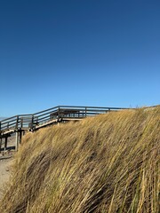 wooden fence on the beach