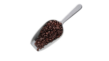 Scoop of coffee beans. Coffee beans in scoop isolated.