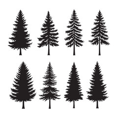 Fototapeta premium Silhouette set of pine tree on white background