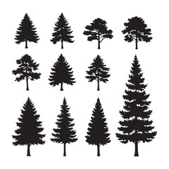 Fototapeta premium Silhouette set of pine tree on white background
