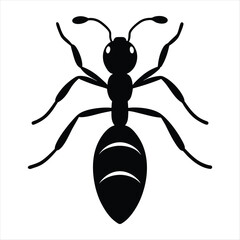Simple Black Ant Insect Illustration on White Background silhouette