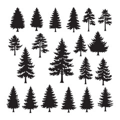 Silhouette set of pine tree on white background