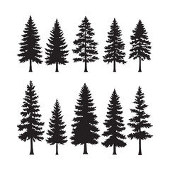 Silhouette set of pine tree on white background