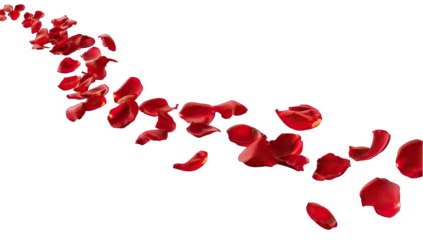 Red rose petals falling in a graceful arc against a black background
