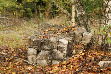 A pile of rocks or bricks with fallen leaves scattered around, set in a natural outdoor environment with trees in the background. The rough textures and earthy colors enhance the rustic feel	

