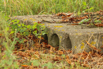 A concrete block with multiple holes, set in a grassy area with fallen leaves scattered around, emphasizing its rough texture and contrast with nature	
