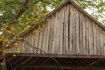 A wooden structure, possibly a barn or shed, with yellow leaves hanging from a nearby tree, adding a seasonal touch to the composition	
