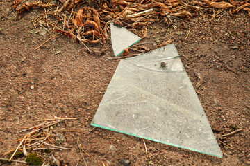 Broken pieces of a triangular-shaped tile scattered on the ground, surrounded by dried plant...