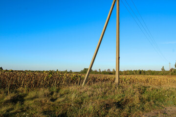 A clear blue sky with a wooden utility pole standing in a grassy field, emphasizing the contrast between infrastructure and open nature	
