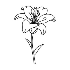 Black and white illustration of a lily flower with leaves  