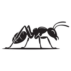 black ant on white background. vector illustration eps 10