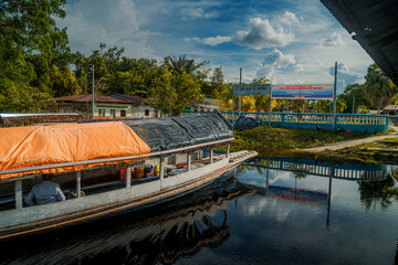 “Rivers, Roots, and Mysteries of the Amazon” 