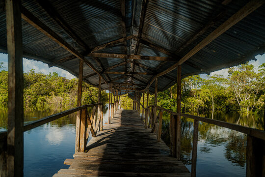 &ldquo;Rivers, Roots, and Mysteries of the Amazon&rdquo; "R&iacute;os, Ra&iacute;ces y Misterios del Amazonas"