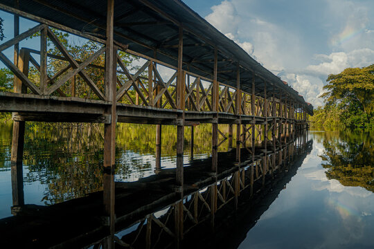 &ldquo;Rivers, Roots, and Mysteries of the Amazon&rdquo; "R&iacute;os, Ra&iacute;ces y Misterios del Amazonas"