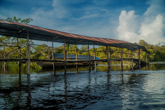 &ldquo;Rivers, Roots, and Mysteries of the Amazon&rdquo; "R&iacute;os, Ra&iacute;ces y Misterios del Amazonas"