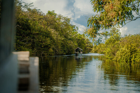 &ldquo;Rivers, Roots, and Mysteries of the Amazon&rdquo; "R&iacute;os, Ra&iacute;ces y Misterios del Amazonas"