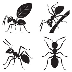 collection of ants icon. vector illustration EPS 10